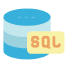 SQL Injection