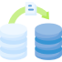 WordPress Migration