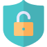 Robust Security