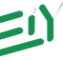 eiy Logo