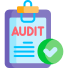 In-Depth Audits
